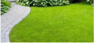 Jogging track Mahindra Blossom